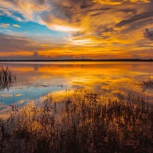 Meet your Posher, Vandit